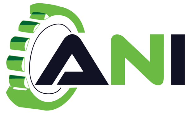 A.N. INTERNATIONAL